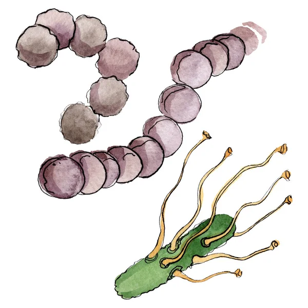 Microbe of kiem hand verdrinken illustratie. Aquarel achtergrond set. Geïsoleerd micro-organisme illustratie element. — Stockfoto