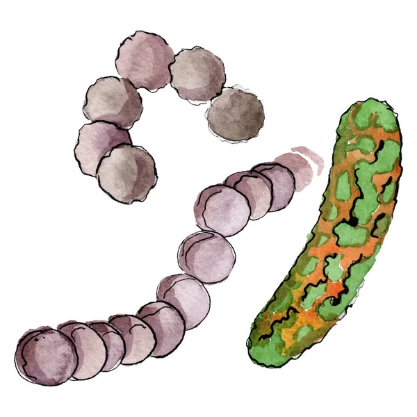 Microbe of kiem hand verdrinken illustratie. Aquarel achtergrond set. Geïsoleerd micro-organisme illustratie element. — Stockfoto