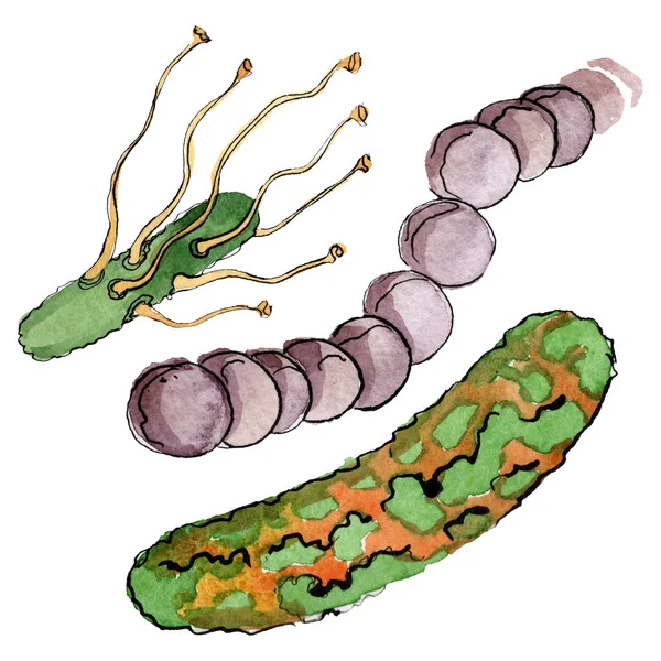 Микроб или микробная рука. Акварельный набор фона. Изолированный элемент иллюстрации микроорганизмов . — стоковое фото