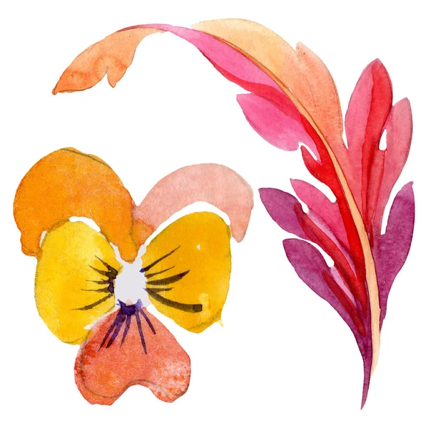 Ornamento con fiori botanici di margherite. Acquerello sfondo illustrazione set. Elemento isolato di illustrazione viola . — Foto Stock