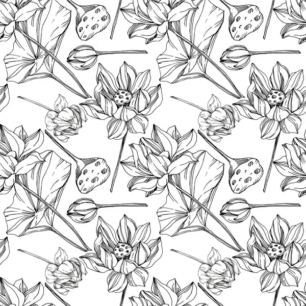 Vector Lotus flores botânicas florais. Tinta gravada a preto e branco. Padrão de fundo sem costura . — Vetor de Stock