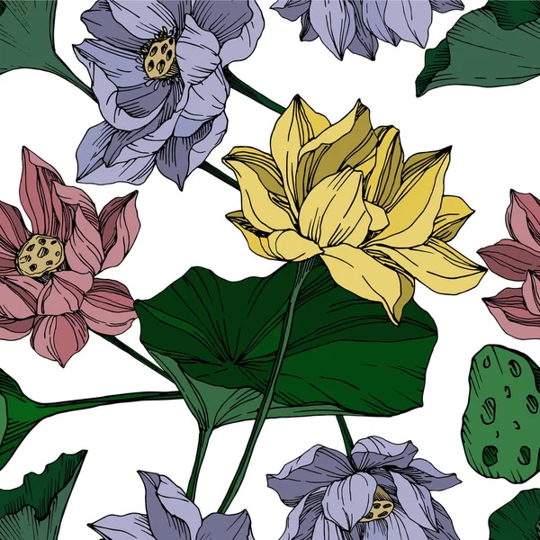 Vector Lotus flores botánicas florales. Tinta grabada en blanco y negro. Patrón de fondo sin costuras . — Vector de stock