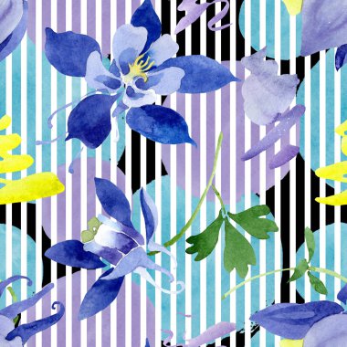 Mavi aquilegia çiçek botanik çiçekler. Suluboya arka plan illüstrasyon seti. Kesintisiz arka plan deseni.