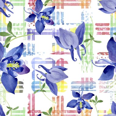 Mavi aquilegia çiçek botanik çiçekler. Suluboya arka plan illüstrasyon seti. Kesintisiz arka plan deseni.
