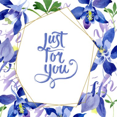 Mavi aquilegia çiçek botanik çiçekler. Suluboya arka plan illüstrasyon seti. Çerçeve kenarlık süs karesi.