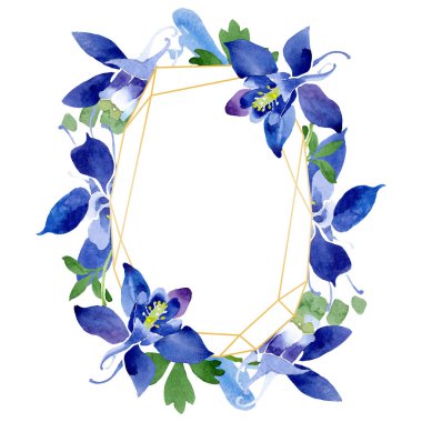 Mavi aquilegia çiçek botanik çiçekler. Suluboya arka plan illüstrasyon seti. Çerçeve kenarlık süs karesi.