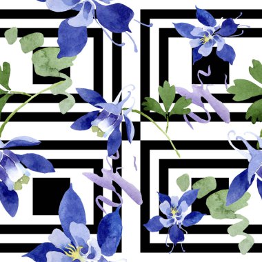 Mavi aquilegia çiçek botanik çiçekler. Suluboya arka plan illüstrasyon seti. Kesintisiz arka plan deseni.