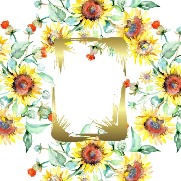 Flores botánicas florales de girasol amarillo. Conjunto de ilustración de fondo acuarela. Marco borde ornamento cuadrado . —  Fotos de Stock