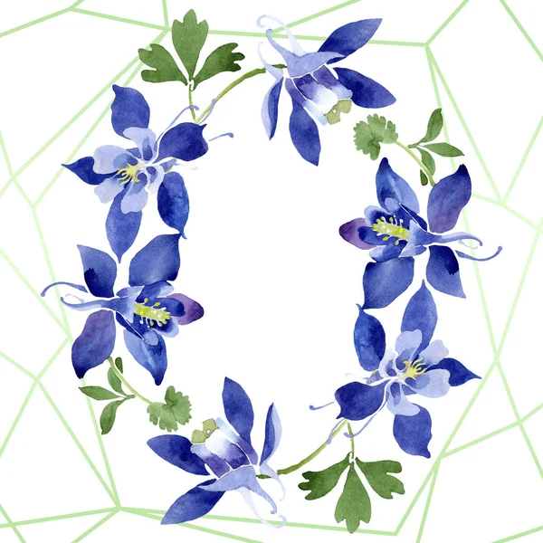 Azul aquilegia flores botánicas florales. Conjunto de ilustración de fondo acuarela. Marco borde ornamento cuadrado . — Foto de Stock