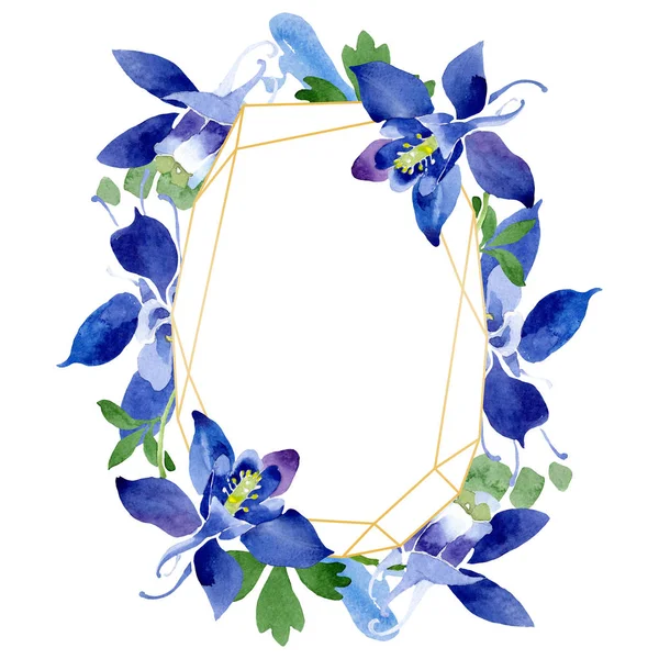 Azul aquilegia flores botânicas florais. Conjunto de ilustração de fundo aquarela. Quadro borda ornamento quadrado . — Fotografia de Stock