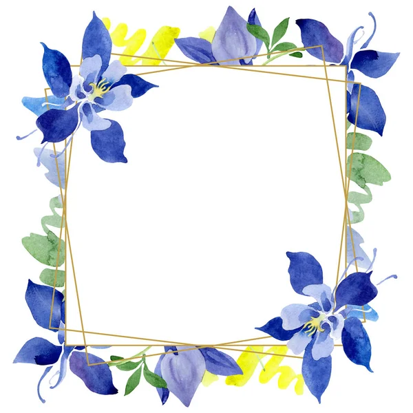青いアクイレジア花の植物の花。●水彩背景イラストセット。フレームボーダーオーナメント正方形. — ストック写真