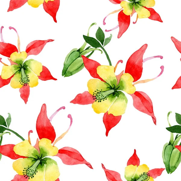 Kırmızı aquilegia çiçek botanik çiçekler. Suluboya arka plan illüstrasyon seti. Kesintisiz arka plan deseni. — Stok fotoğraf