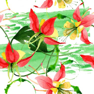 Kırmızı aquilegia çiçek botanik çiçekler. Suluboya arka plan illüstrasyon seti. Kesintisiz arka plan deseni.