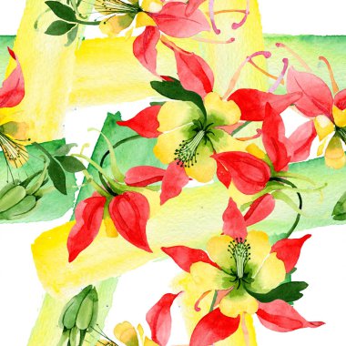 Kırmızı aquilegia çiçek botanik çiçekler. Suluboya arka plan illüstrasyon seti. Kesintisiz arka plan deseni.