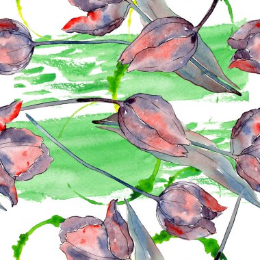 Kırmızı mor lale çiçek botanik çiçekler. Suluboya arka plan illüstrasyon seti. Kesintisiz arka plan deseni.