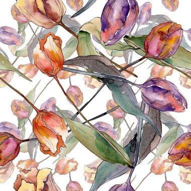 Kırmızı mor lale çiçek botanik çiçekler. Suluboya arka plan illüstrasyon seti. Kesintisiz arka plan deseni.