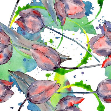 Kırmızı mor lale çiçek botanik çiçekler. Suluboya arka plan illüstrasyon seti. Kesintisiz arka plan deseni.