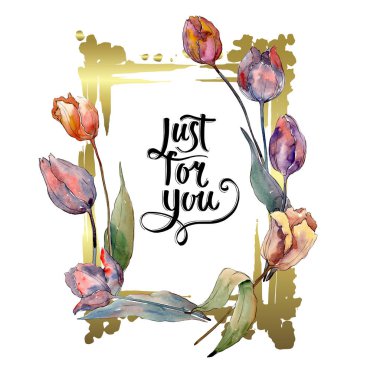 Kırmızı mor lale çiçek botanik çiçekler. Suluboya arka plan illüstrasyon seti. Çerçeve kenarlık süs karesi.