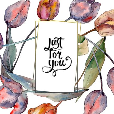 Kırmızı mor lale çiçek botanik çiçekler. Suluboya arka plan illüstrasyon seti. Çerçeve kenarlık süs karesi.