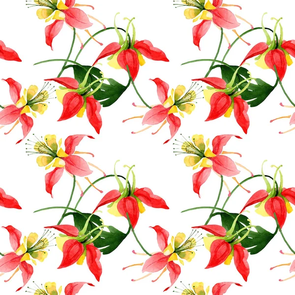 赤いアクイレギアの花の植物の花。●水彩背景イラストセット。シームレスな背景パターン. — ストック写真