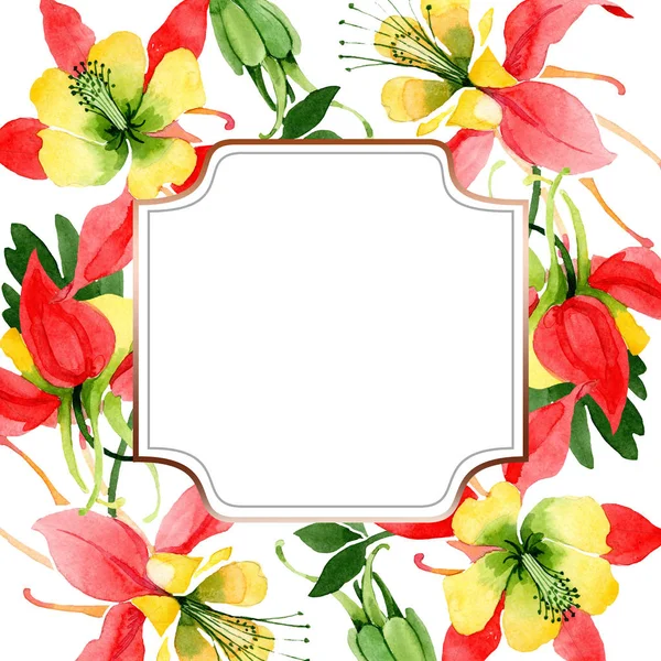 Rode Aquilegia Floral botanische bloemen. Aquarel achtergrond illustratie instellen. Frame rand ornament vierkant. — Stockfoto