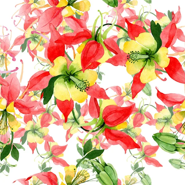 빨간 aquilegia 꽃 식물 꽃입니다. 수채화 배경 일러스트 세트입니다. 원활한 배경 패턴. — 스톡 사진