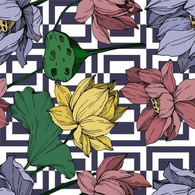 Vektör Lotus çiçek botanik çiçekler. Siyah ve beyaz oyulmuş mürekkep sanatı. Kesintisiz arka plan deseni.