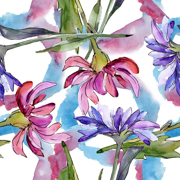 Aster çiçek botanik çiçekler. Suluboya arka plan illüstrasyon seti. Kesintisiz arka plan deseni.