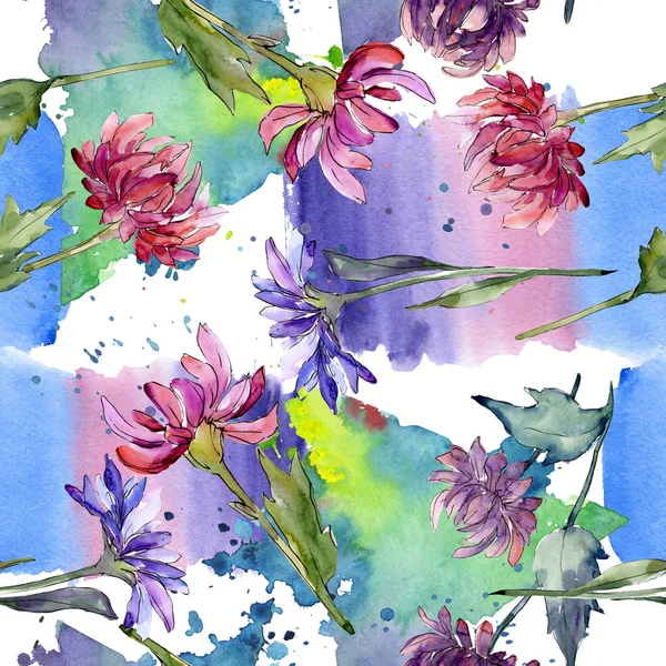 Aster çiçek botanik çiçekler. Suluboya arka plan illüstrasyon seti. Kesintisiz arka plan deseni.