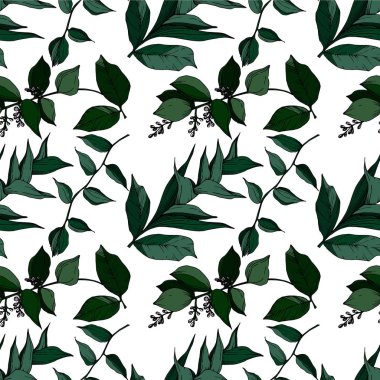 Vektör Tropikal çiçekler ve izole yaprakları. Siyah ve beyaz oyulmuş mürekkep sanatı. Kesintisiz arka plan deseni.