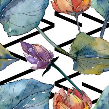 Lotus çiçek botanik çiçekler. Suluboya arka plan illüstrasyon seti. Kesintisiz arka plan deseni.