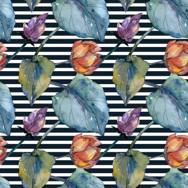 Lotus çiçek botanik çiçekler. Suluboya arka plan illüstrasyon seti. Kesintisiz arka plan deseni.