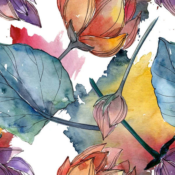 Lotus flores botânicas florais. Conjunto de ilustração de fundo aquarela. Padrão de fundo sem costura . — Fotografia de Stock