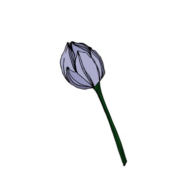 Vektör Lotus çiçek botanik çiçekler. Siyah ve beyaz oyulmuş mürekkep sanatı. İzole lotus illüstrasyon elemanı.