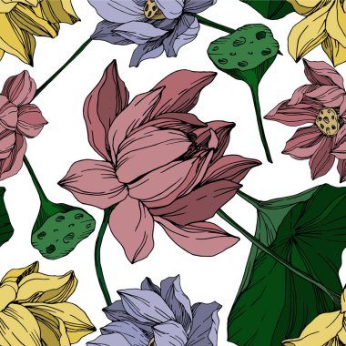 Vektör Lotus çiçek botanik çiçekler. Siyah ve beyaz oyulmuş mürekkep sanatı. Kesintisiz arka plan deseni.