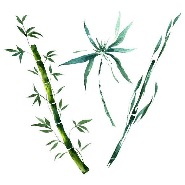 竹の緑の葉と茎。●水彩背景イラストセット。孤立した竹のイラスト要素. — ストック写真