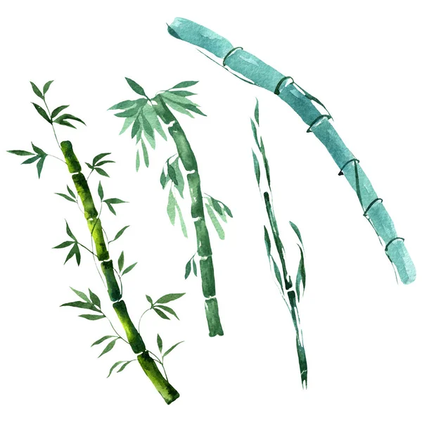 Bambu gröna blad och stjälkar. Akvarell bakgrund illustration uppsättning. Isolerad bambu illustration element. — Stockfoto