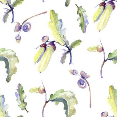 Orman meşe palamudu yeşil yaprak ve fındık. Suluboya arka plan illüstrasyon seti. Kesintisiz arka plan deseni.