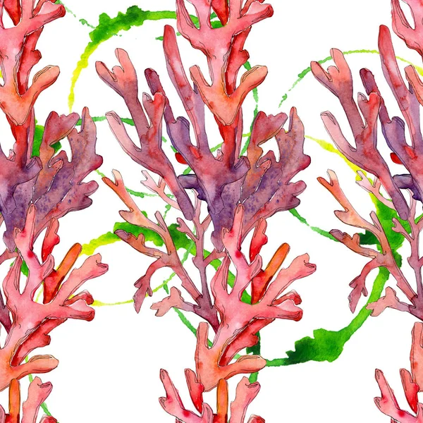 Kırmızı su altı doğa mercan resifi. Suluboya arka plan illüstrasyon seti. Kesintisiz arka plan deseni.