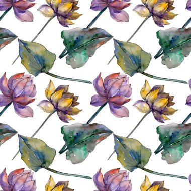Lotus çiçek botanik çiçekler. Suluboya arka plan illüstrasyon seti. Kesintisiz arka plan deseni.
