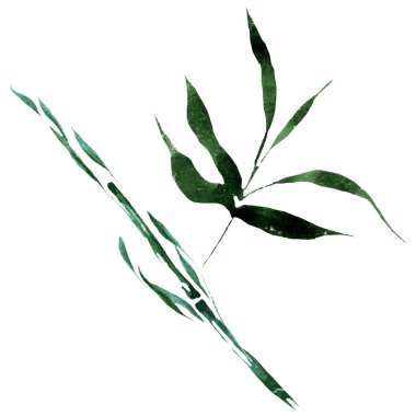 Bambu yeşil yaprakları ve sapları. Suluboya arka plan illüstrasyon seti. İzole bambu illüstrasyon elemanı.