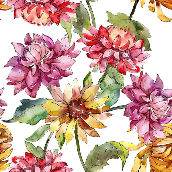 Mishaelmas daisy florale botanische Blumen. Aquarell Hintergrundillustration Set. nahtloses Hintergrundmuster. — Stockfoto