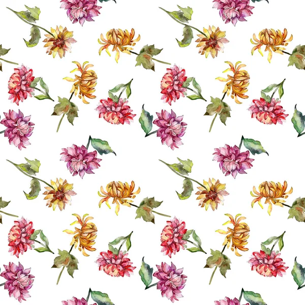 Mishaelmas fiori botanici margherite floreali. Acquerello sfondo illustrazione set. Modello di sfondo senza soluzione di continuità . — Foto Stock