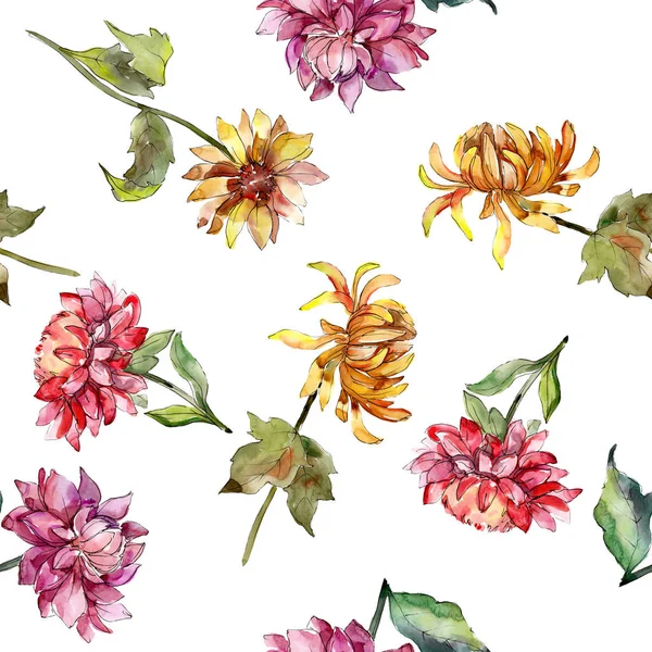 Mishaelmas daisy florale botanische Blumen. Aquarell Hintergrundillustration Set. nahtloses Hintergrundmuster. — Stockfoto