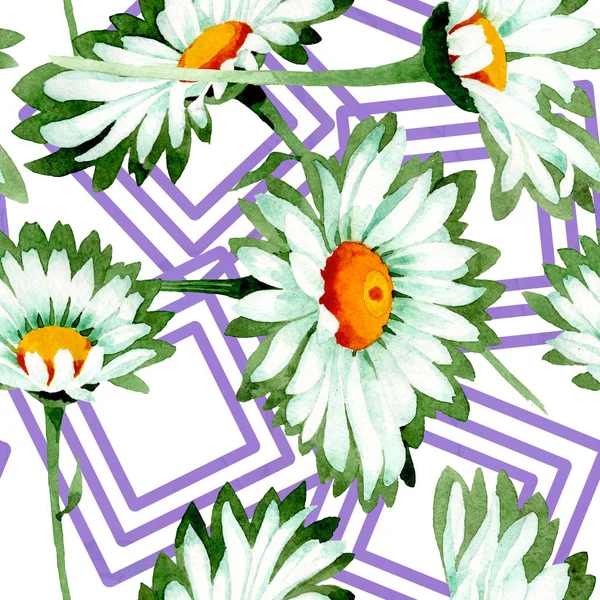 Margarita blanca flores botánicas florales. Conjunto de ilustración de fondo acuarela. Patrón de fondo sin costuras . — Foto de Stock