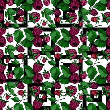 Vektör Ahududu sağlıklı gıda izole. Siyah ve beyaz oyulmuş mürekkep sanatı. Kesintisiz arka plan deseni.