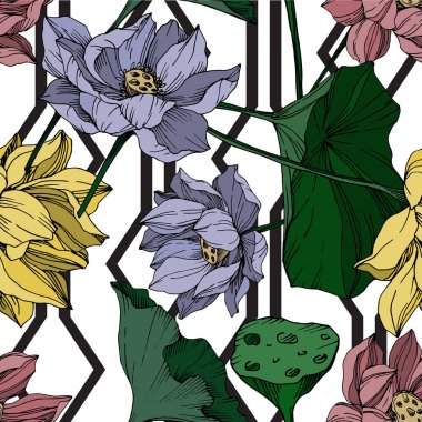 Vektör Lotus çiçek botanik çiçekler. Siyah ve beyaz oyulmuş mürekkep sanatı. Kesintisiz arka plan deseni.
