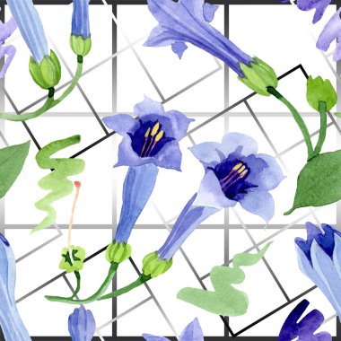 Mavi brugmansia çiçek botanik çiçekleri. Suluboya arka plan illüstrasyon seti. Kesintisiz arka plan deseni.