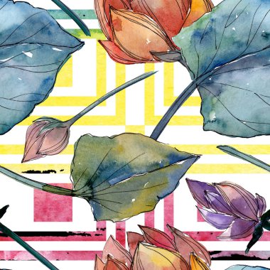 Lotus çiçek botanik çiçekler. Suluboya arka plan illüstrasyon seti. Kesintisiz arka plan deseni.