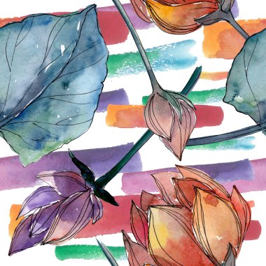 Lotus çiçek botanik çiçekler. Suluboya arka plan illüstrasyon seti. Kesintisiz arka plan deseni.